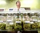 City still working on regulation ordinance for marijuana dispensaries