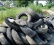 Ethnic slurs and tire dumping alleged