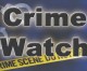 Summer crime watch: trash cans and carjackings